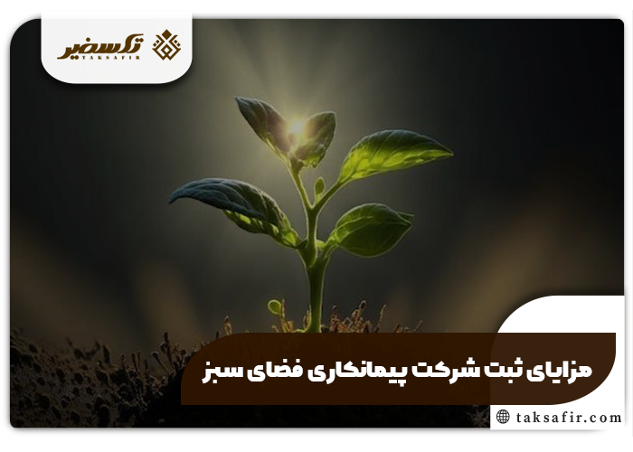 ثبت شرکت پیمانکاری فضای سبز راهنمای جامع و دقیق 5 مزایای ثبت شرکت پیمانکاری فضای سبز