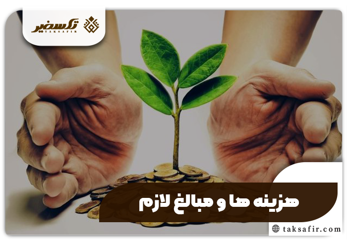 ثبت شرکت پیمانکاری فضای سبز راهنمای جامع و دقیق 6 هزینه های ثبت شرکت پیمانکاری فضای سبز
